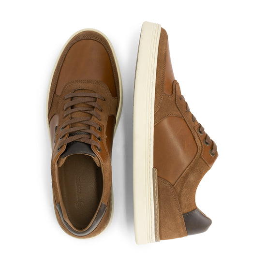 Southam - Leather sneakers - Men - Cognac UPD