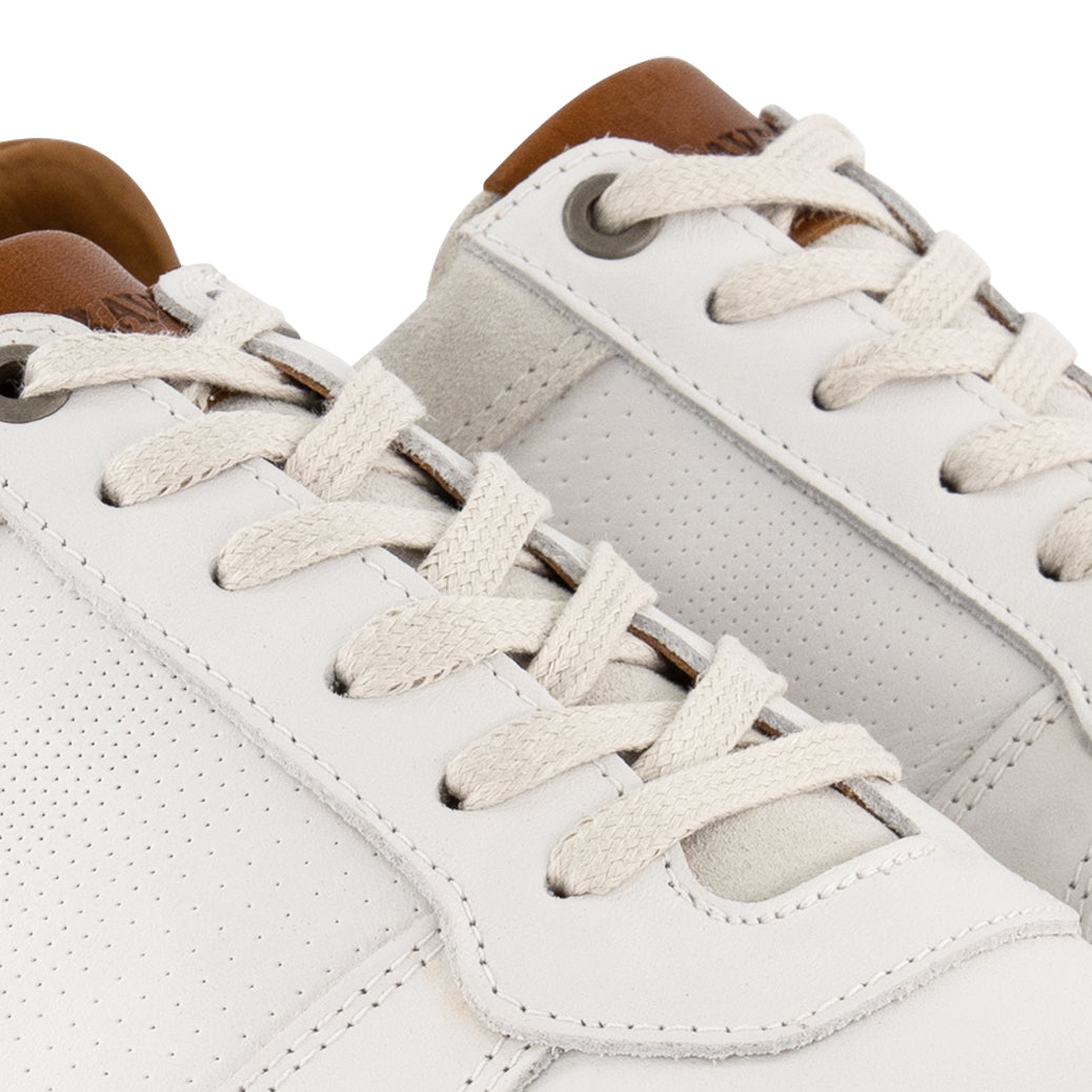 Worcester - Leather sneakers - Men - White DFW