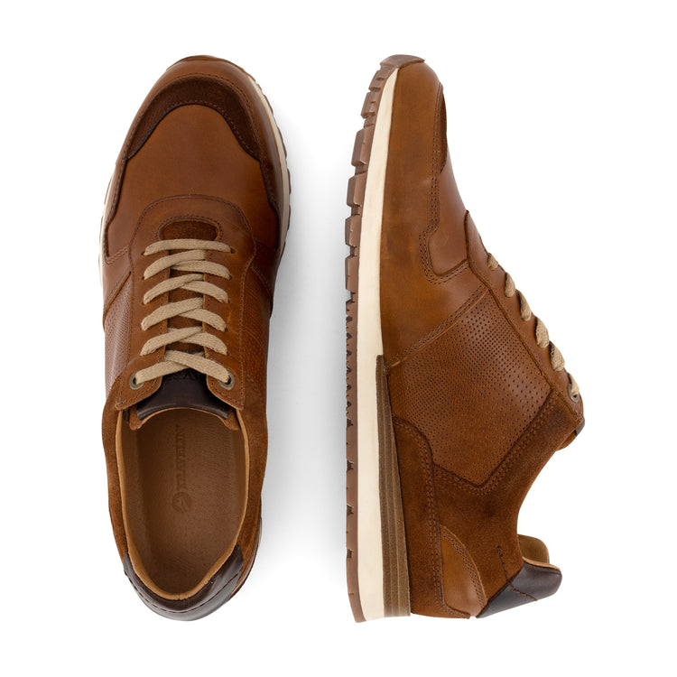 Worcester - Leather sneakers - Men - Cognac UPD