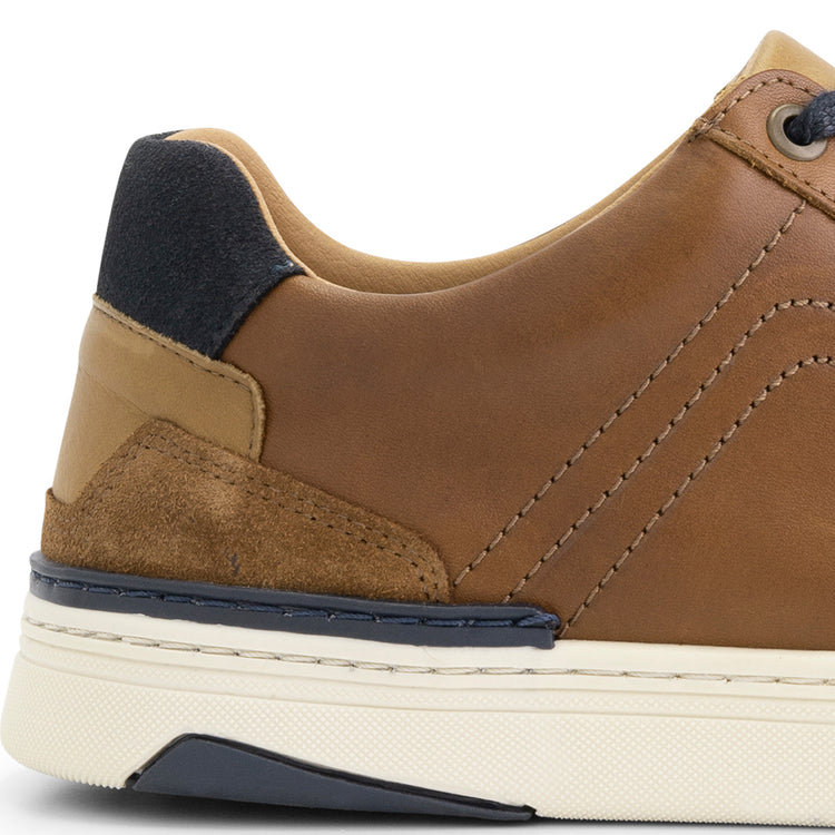 Hagley - Leather sneakers - Men - Cognac DFH